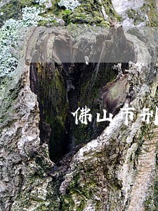 佛山市刑事起诉律师网站 佛山市刑事起诉律师网站