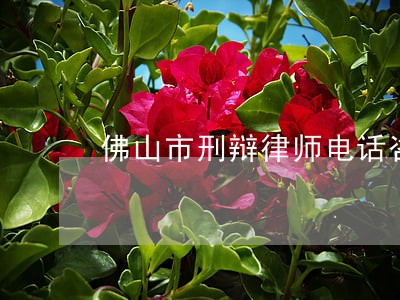 佛山市刑辩律师电话咨询 佛山市刑辩律师电话咨询