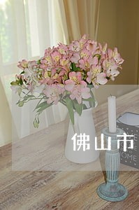 佛山市南庄镇法律援助 佛山市南庄镇法律援助