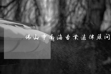 佛山市南海专业法律顾问