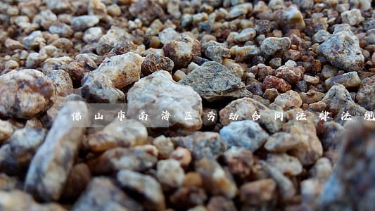 佛山市南海区劳动合同法律法规 佛山市南海区劳动合同法律法规