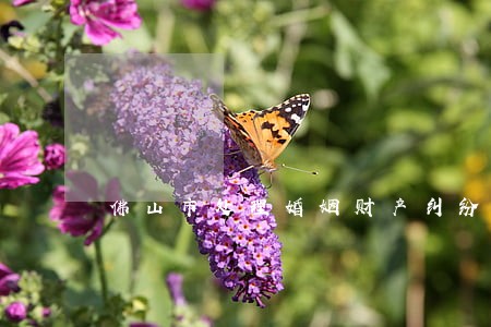 佛山市处理婚姻财产纠纷律师