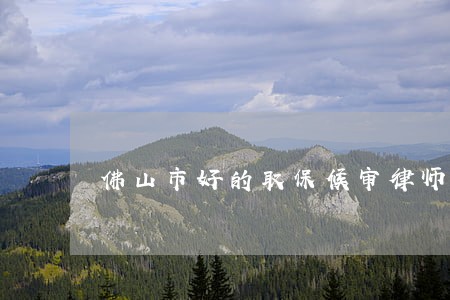 佛山市好的取保候审律师咨询服务