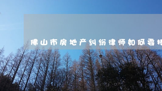 佛山市房地产纠纷律师如何委托 佛山市房地产纠纷律师如何委托