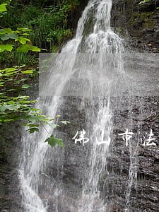 佛山市法律援助中心地址 佛山市法律援助中心地址