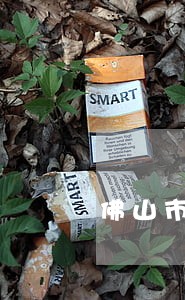 佛山市法院电话号码