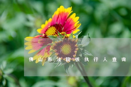 佛山市法院被执行人查询系统
