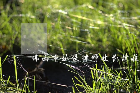 佛山市环保律师收费标准 佛山市环保律师收费标准