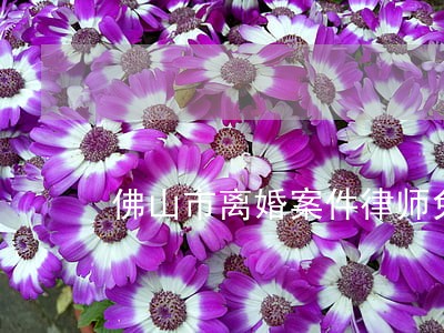 佛山市离婚案件律师免费法律咨 佛山市离婚案件律师免费法律咨