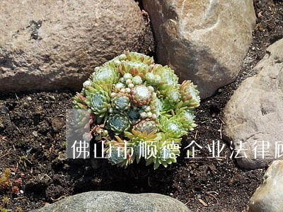 佛山市顺德企业法律顾问 佛山市顺德企业法律顾问