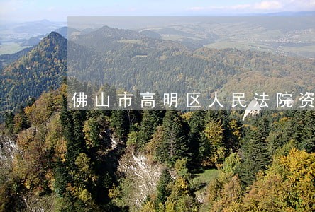 佛山市高明区人民法院资产诉讼网 佛山市高明区人民法院资产诉讼网