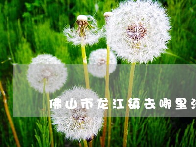 佛山市龙江镇去哪里法院起诉 佛山市龙江镇去哪里法院起诉