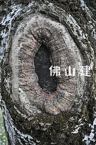 佛山建设工程合同律师法务服务