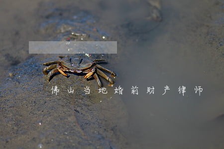 佛山当地婚前财产律师 佛山当地婚前财产律师