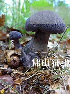 佛山征地拆迁补偿律师 佛山征地拆迁补偿律师