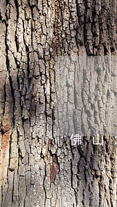 佛山怎么找专业合同案件律师 佛山怎么找专业合同案件律师