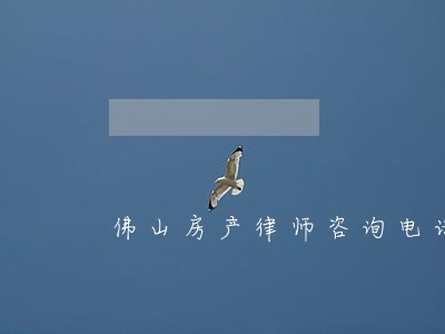 佛山房产律师咨询电话 佛山房产律师咨询电话