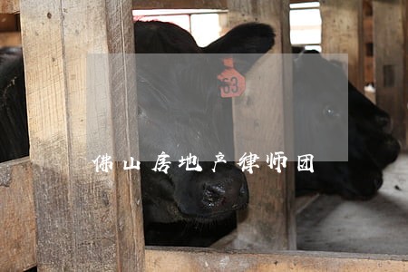 佛山房地产律师团 佛山房地产律师团