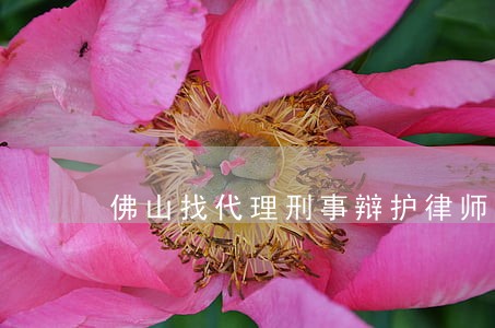 佛山找代理刑事辩护律师哪里找 佛山找代理刑事辩护律师哪里找