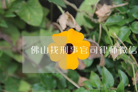 佛山找刑事官司律师微信咨询 佛山找刑事官司律师微信咨询
