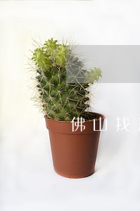 佛山找刑事案件律师专业法律服务 佛山找刑事案件律师专业法律服务