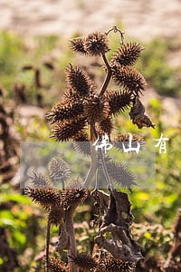 佛山有名劳动法律师 佛山有名劳动法律师
