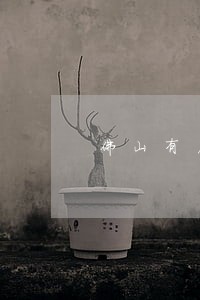 佛山有名的房产合同律师预约电话 佛山有名的房产合同律师预约电话