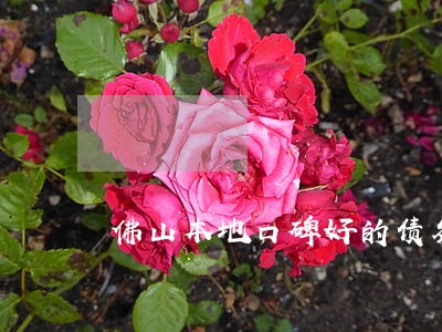 佛山本地口碑好的债务律师哪个好 佛山本地口碑好的债务律师哪个好
