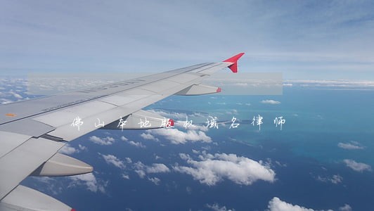 佛山本地版权域名律师 佛山本地版权域名律师