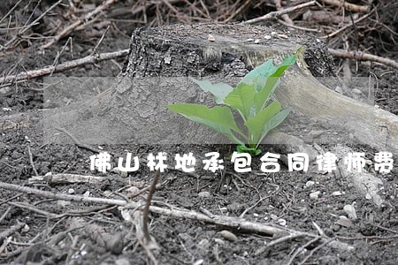 佛山林地承包合同律师费用 佛山林地承包合同律师费用