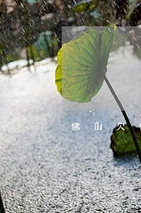 佛山欠债合同律师团 佛山欠债合同律师团