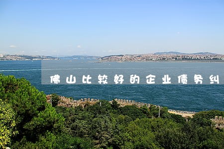 佛山比较好的企业债务纠纷律师 佛山比较好的企业债务纠纷律师