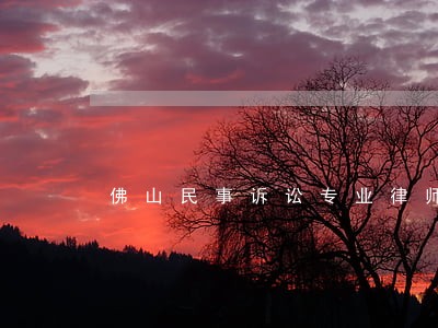 佛山民事诉讼专业律师 佛山民事诉讼专业律师