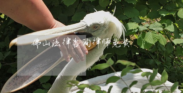 佛山法律咨询律师免费 佛山法律咨询律师免费