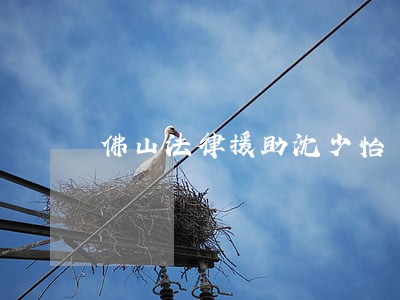 佛山法律援助沈少怡 佛山法律援助沈少怡