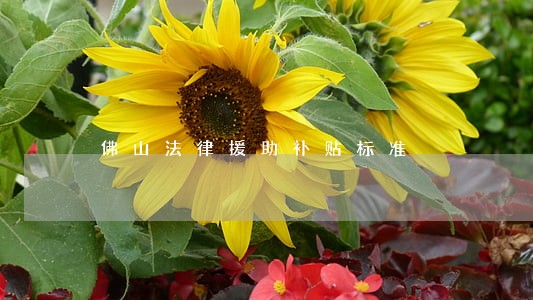 佛山法律援助补贴标准 佛山法律援助补贴标准