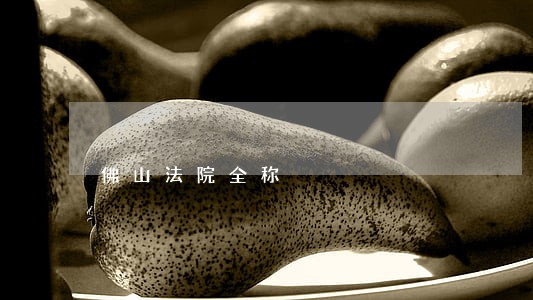 佛山法院全称
