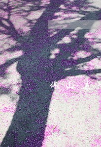 佛山法院创新送达 佛山法院创新送达