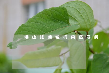 佛山法院执行网伍于民 佛山法院执行网伍于民