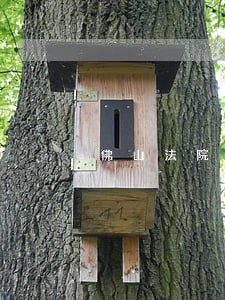 佛山法院拍卖信息查询 佛山法院拍卖信息查询