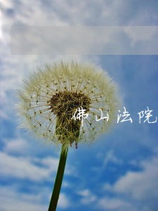 佛山法院案件执行查询 佛山法院案件执行查询