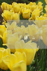 佛山法院梁灿荣案 佛山法院梁灿荣案