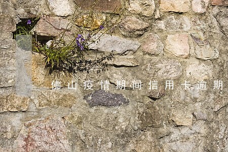 佛山疫情期间信用卡逾期上征信不 佛山疫情期间信用卡逾期上征信不