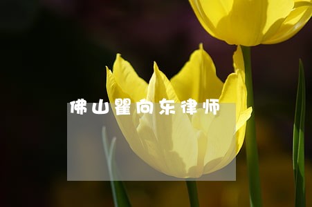 佛山瞿向东律师 佛山瞿向东律师
