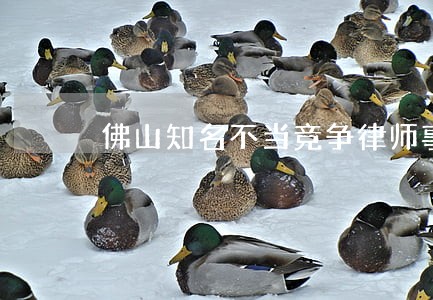 佛山知名不当竞争律师事务所 佛山知名不当竞争律师事务所