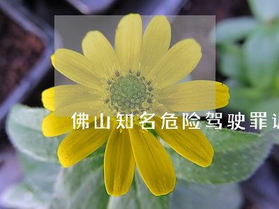 佛山知名危险驾驶罪诉讼律师 佛山知名危险驾驶罪诉讼律师