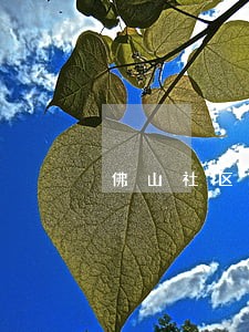 佛山社区法律援助收费吗 佛山社区法律援助收费吗