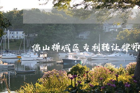 佛山禅城区专利转让律师代理