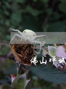 佛山禅城区刑事辩护会见律师推荐
