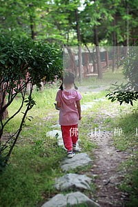 佛山禅城区离婚律师免费咨询 佛山禅城区离婚律师免费咨询